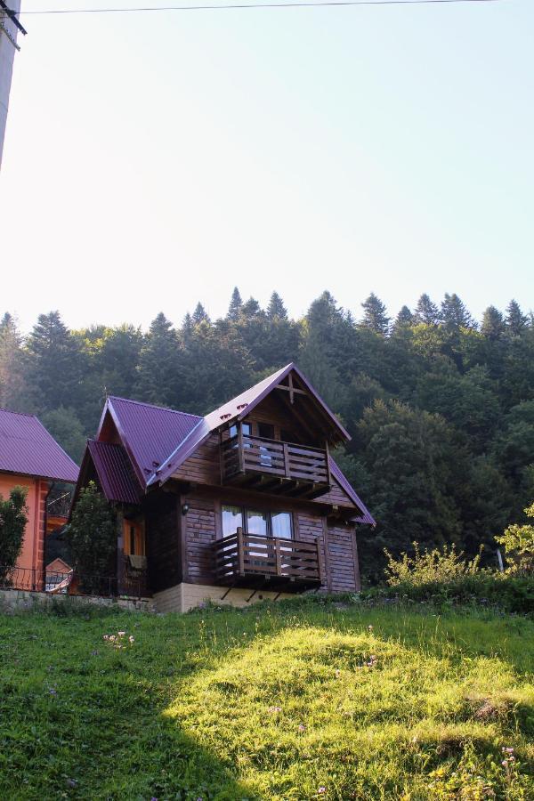 Cottage "Karpatske Shale" Yaremche Exterior photo
