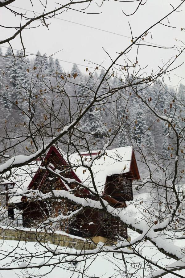 Cottage "Karpatske Shale" Yaremche Exterior photo